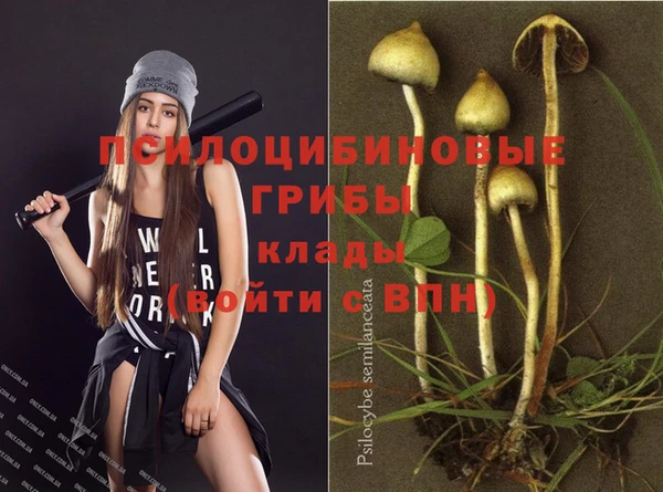прущие крисы Армянск