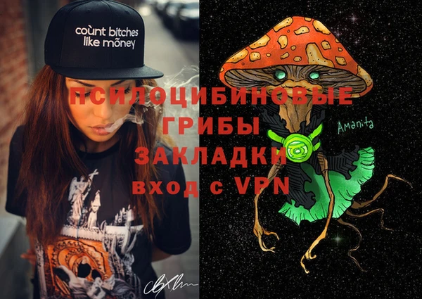 PSILOCYBIN Аркадак